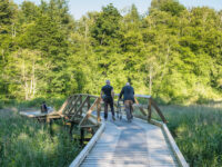 Campbell Valley Regional Park Travel Forum Reviews