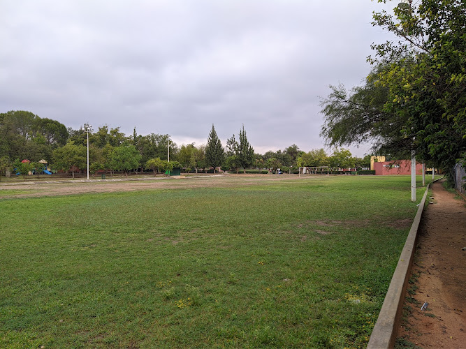 Campo Recreativo