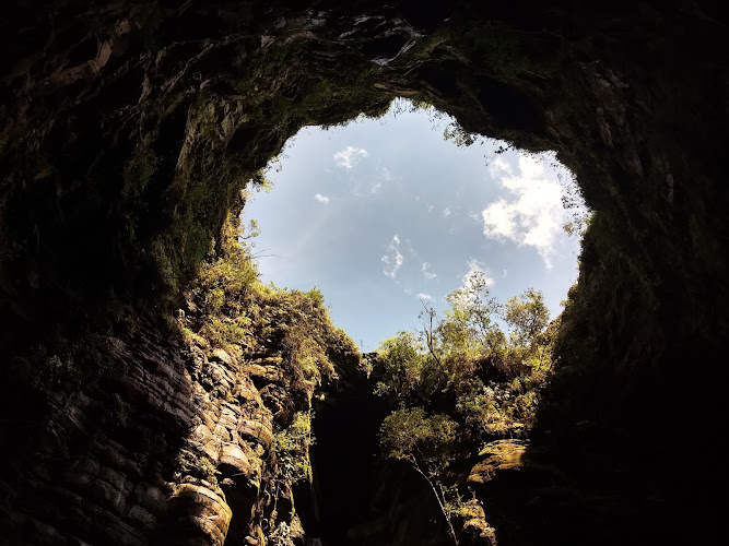 Campos Gerais National Park