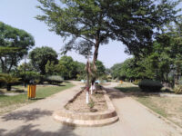 Canal View Park - کینال ویو پارک Travel Forum Reviews