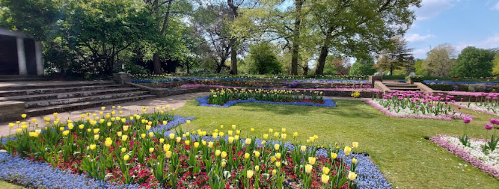 Cannizaro Park Travel Forum Reviews