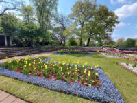 Cannizaro Park Travel Forum Reviews