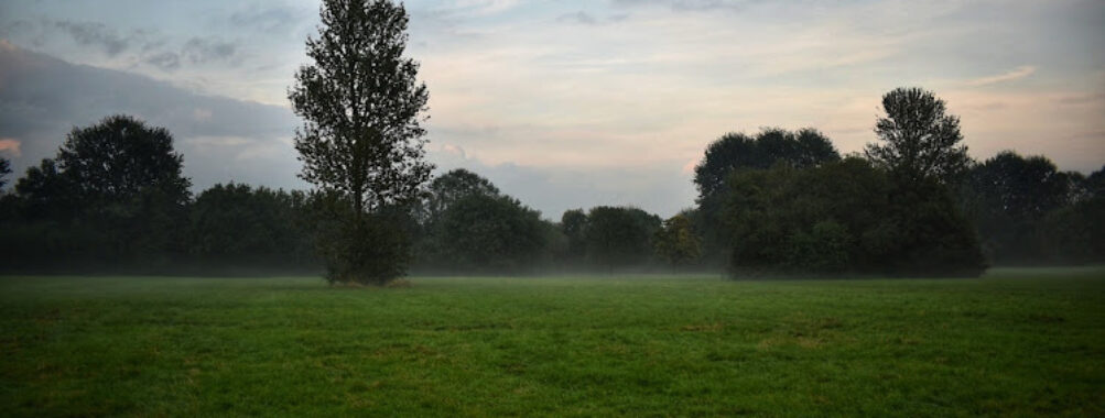 Cannon Hill Common Travel Forum Reviews
