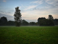 Cannon Hill Common Travel Forum Reviews