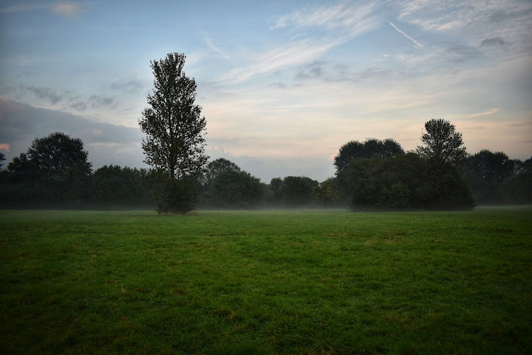 Cannon Hill Common