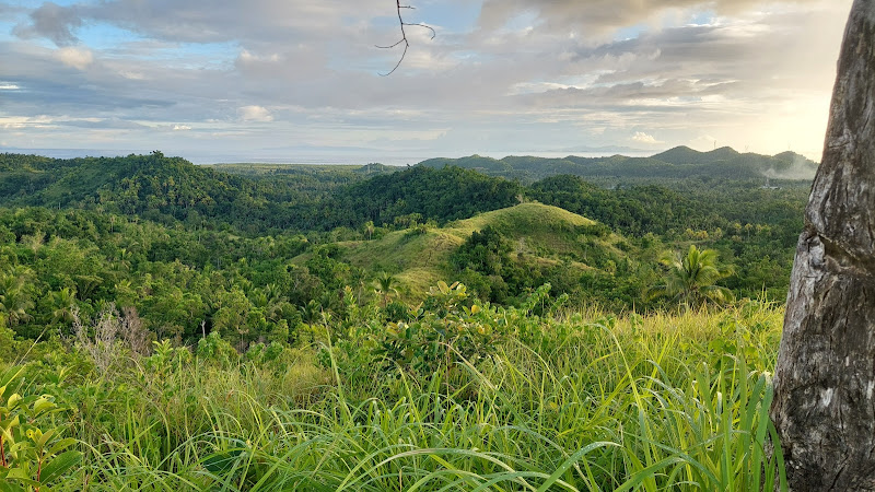 Cantimog Bugnay