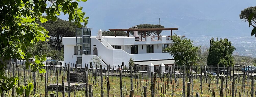 Cantina Del Vesuvio Winery Russo Family since 1930 Travel Forum Reviews