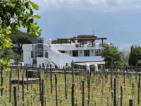Cantina Del Vesuvio Winery Russo Family since 1930 Travel Forum Reviews