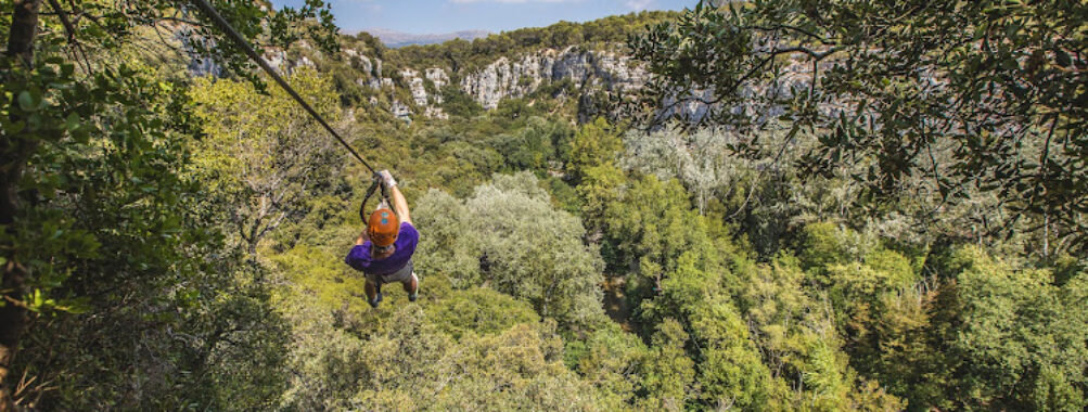 Canyon Forest Travel Forum Reviews