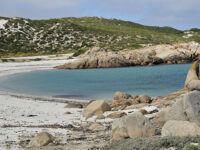 Cape Columbine Nature Reserve Travel Forum Reviews