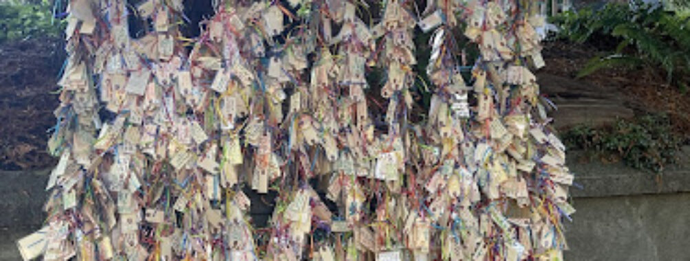 Capitol Hill Wishing Tree Travel Forum Reviews