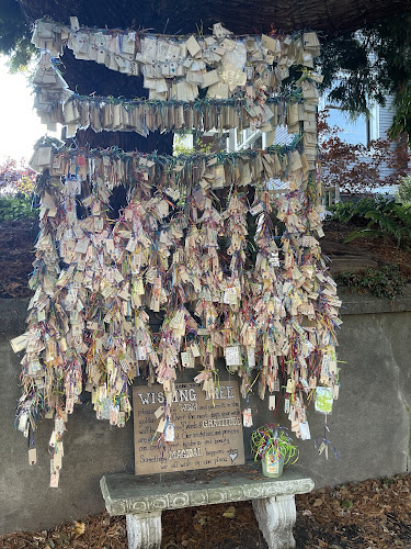 Capitol Hill Wishing Tree