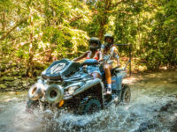 Carabalí Rainforest Park Travel Forum Reviews