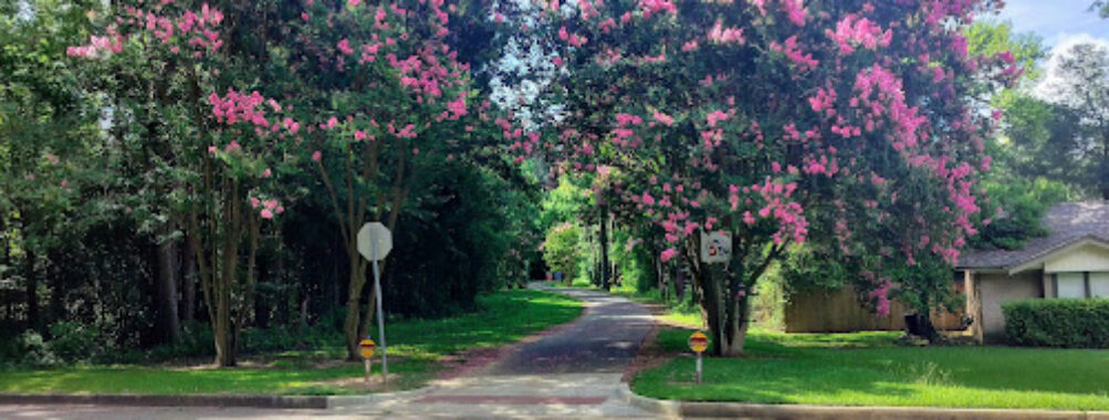 Cargill Long Park Travel Forum Reviews