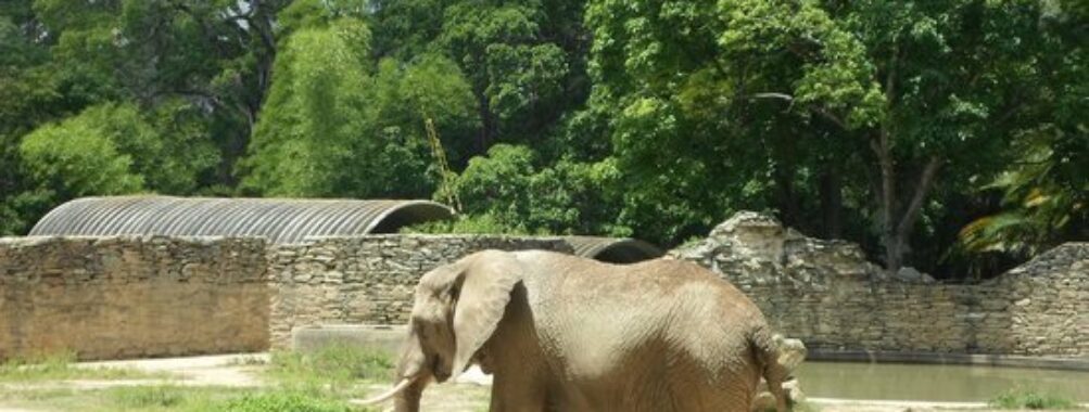 Caricuao Zoo Travel Forum Reviews