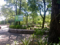 Carlos Antonio Lopez Park Travel Forum Reviews