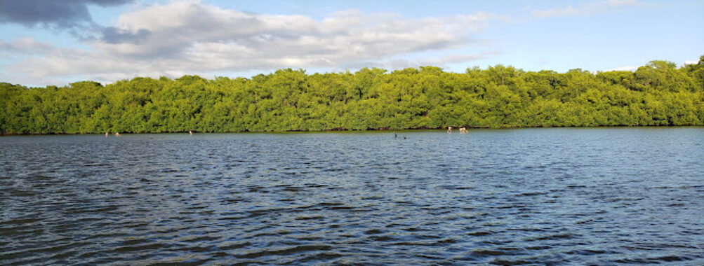 Caroni Bird Sanctuary Travel Forum Reviews