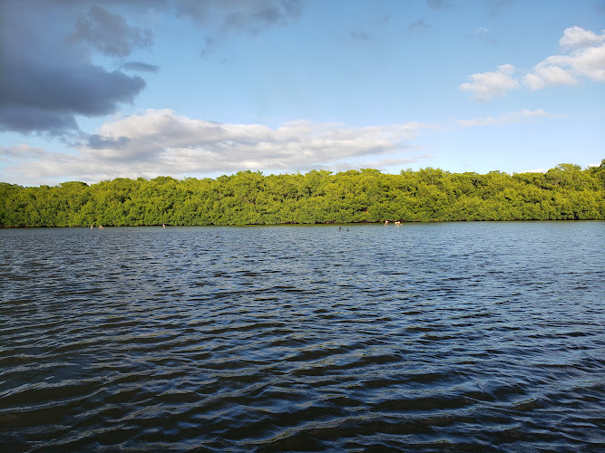 Caroni Bird Sanctuary