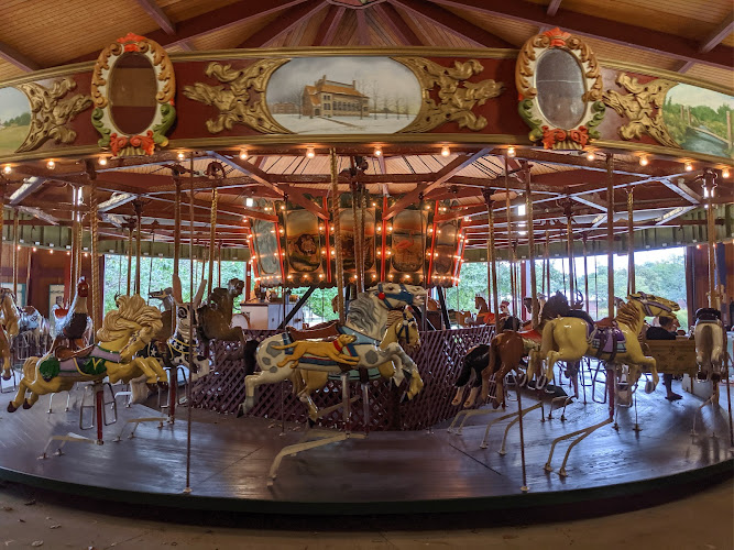 Carousel In the Park