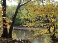 Carpenter Park Travel Forum Reviews