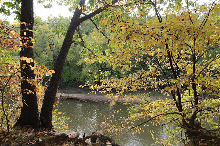 Carpenter Park