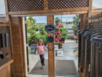 Carson's Garden + Market Travel Forum Reviews