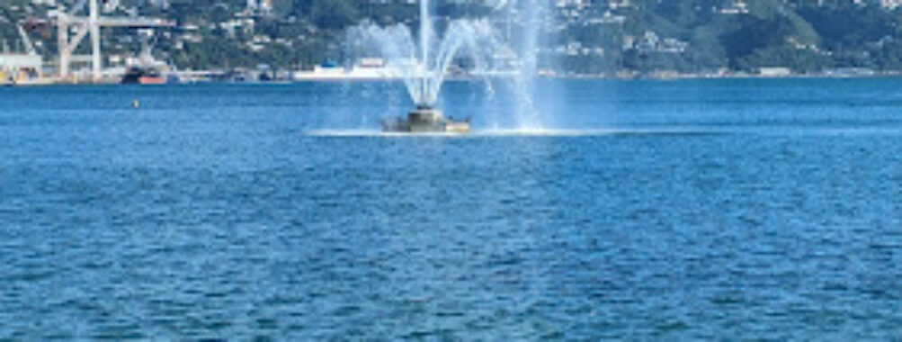 Carter Memorial Fountain Travel Forum Reviews