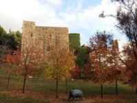 Carthusian of Vallparadís Castle Travel Forum Reviews