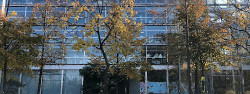 Cartier Foundation for Contemporary Art Travel Forum Reviews