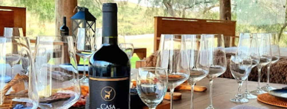 Casa Tannat Travel Forum Reviews