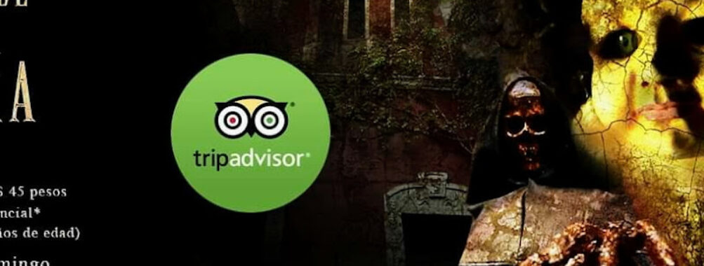 Casa de Tía Aura Travel Forum Reviews