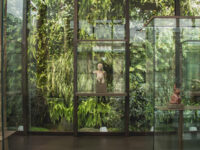 Casa del Alabado Pre-Columbian Art Museum Travel Forum Reviews