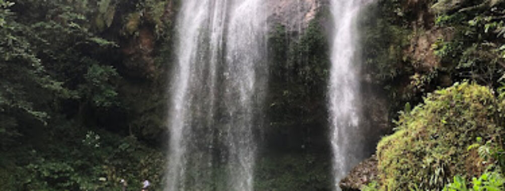 Cascada Corazón Del Bosque Travel Forum Reviews