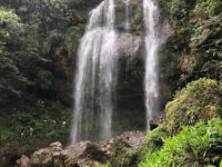 Cascada Corazón Del Bosque Travel Forum Reviews