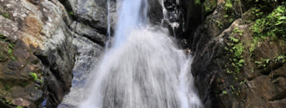 Cascada La Mina Travel Forum Reviews