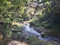 Cascadas De Tenexamaxa Travel Forum Reviews