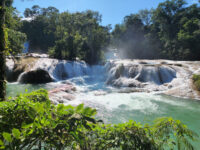 Cascadas de Agua Azul Travel Forum Reviews