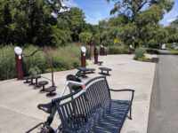 Cass Park Park and Walk Travel Forum Reviews