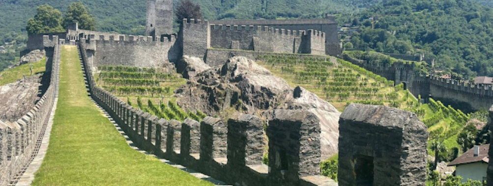 Castles of Bellinzona Travel Forum Reviews