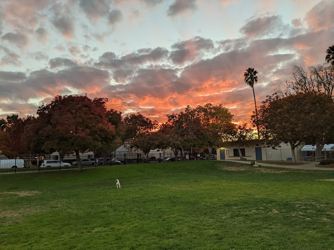 Castro School Field