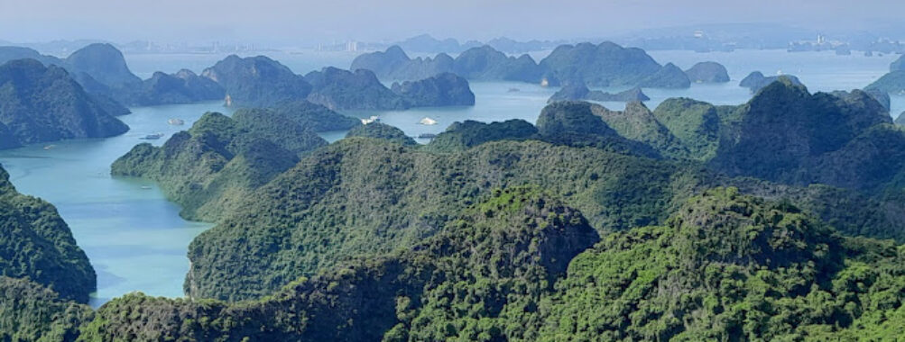 Cat Ba National Park Travel Forum Reviews