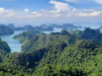 Cat Ba National Park Travel Forum Reviews