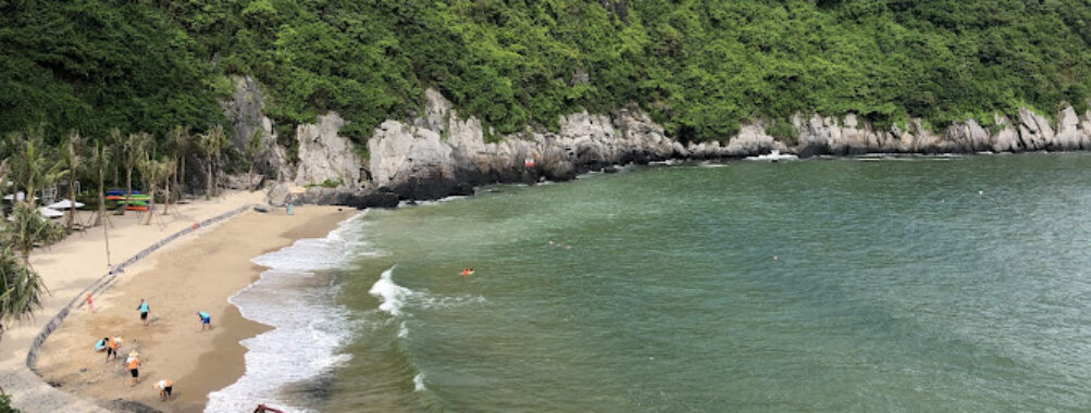 Cat Co 1 Beach Travel Forum Reviews