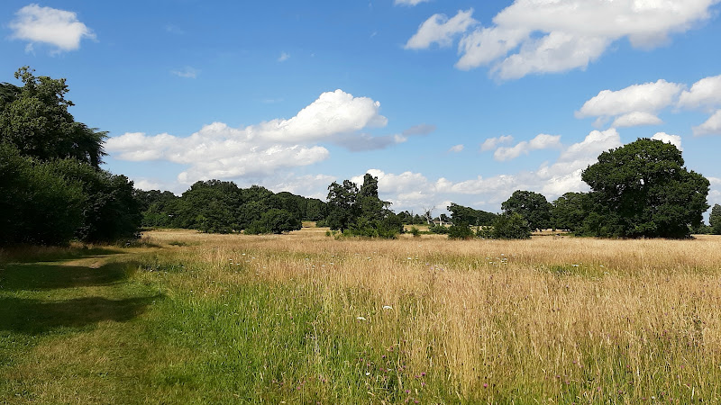 Catton Park