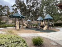 Cedar Grove Park Travel Forum Reviews