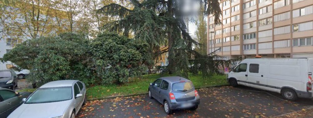 Cedrus Bleu Travel Forum Reviews