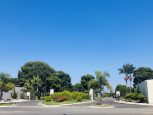Cemetery 2
