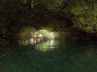Cenote Monkey Dust Travel Forum Reviews