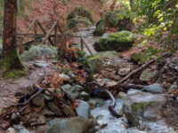 Centaurs' path Travel Forum Reviews