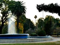 Centenary Park Travel Forum Reviews